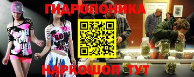 ECSTASY Норильск