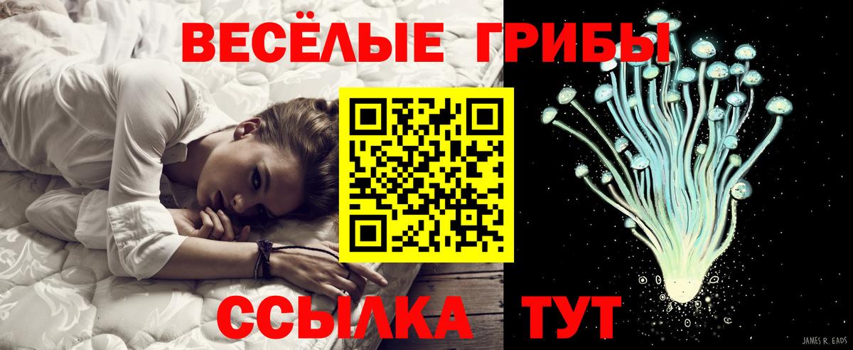 Ирбит  Галлюциногенные грибы прущие грибы  Галлюциногенные грибы мицелий  Вход с VPN 
