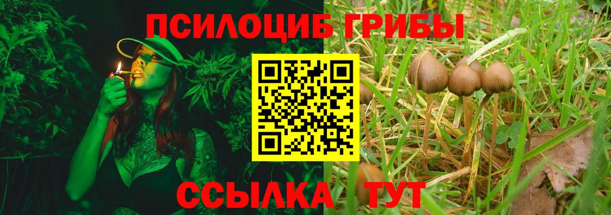Галлюциногенные грибы MAGIC MUSHROOMS Ирбит